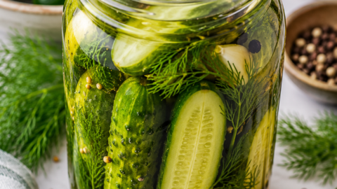 Easy Homemade Dill Pickles (Refrigerator Dill Pickles)