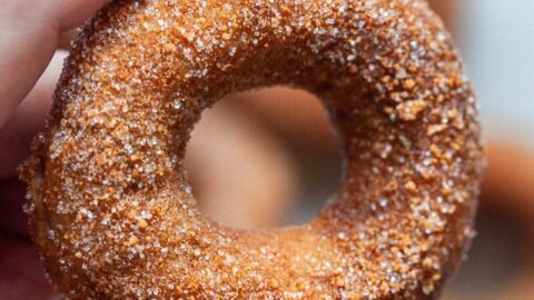 Apple Cider Cake Donuts Recipe