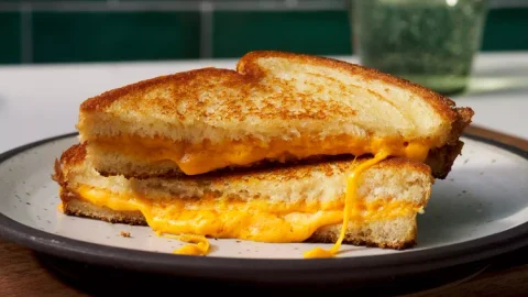 Grilled Cheese Sandwich